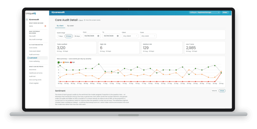 ai care auditing